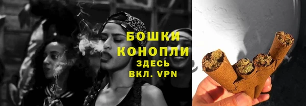 ALPHA PVP Горнозаводск