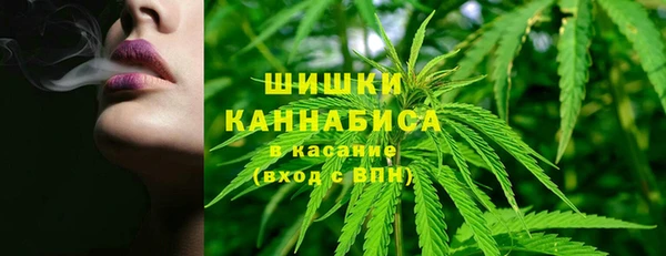 ALPHA PVP Горнозаводск