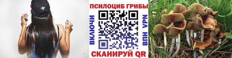 Псилоцибиновые грибы MAGIC MUSHROOMS  Купить  Севск 